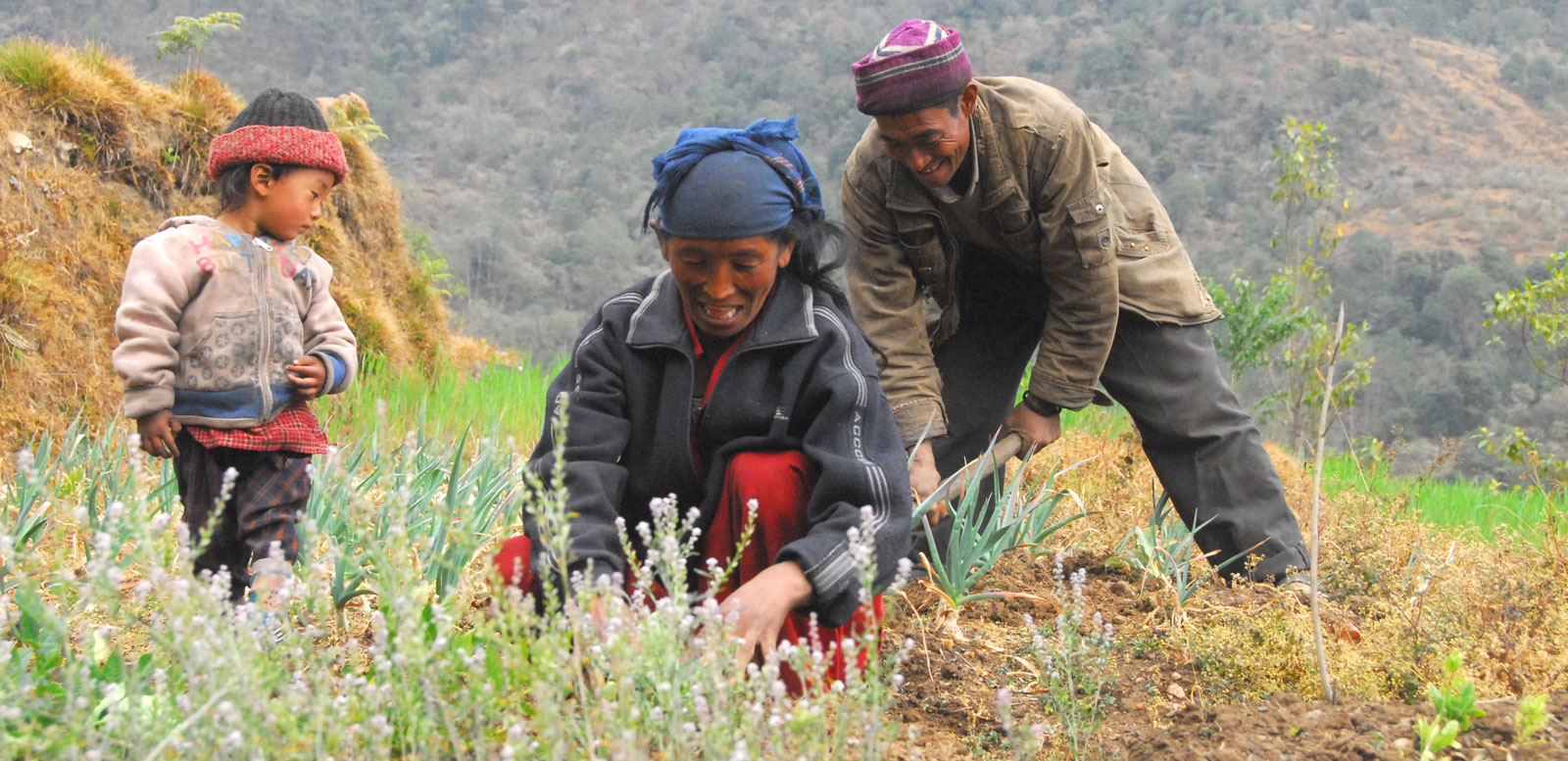 Happiness Despite Hard Work - A Typical Nepalese Characteristic